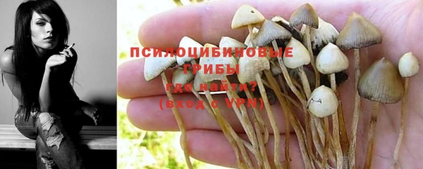 круглые Алзамай