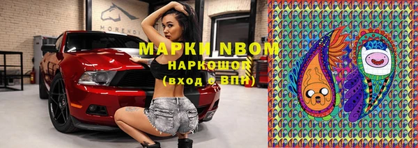 молекула духа Алексин