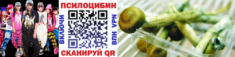 ссылка на мегу маркетплейс Заинск Псилоцибиновые грибы прущие грибы
