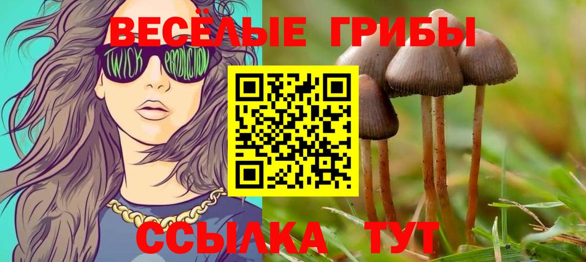 Заинск  закладка  Вход с VPN  Псилоцибиновые грибы Magic Shrooms 